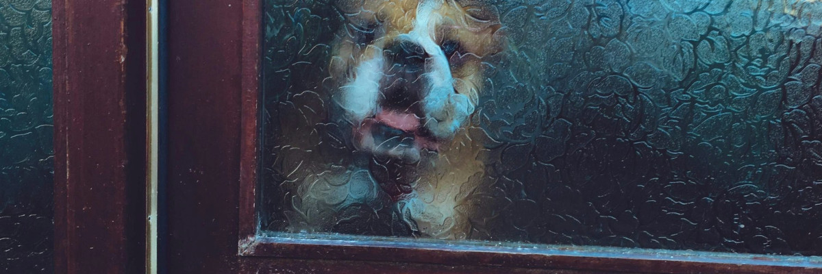 Frustration or Panic? Why Diagnosing the Source of Anxiety is Crucial